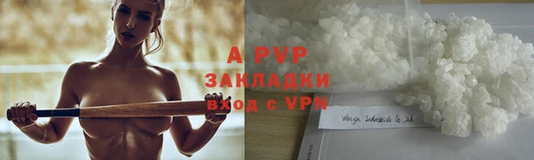 гидра Новодвинск
