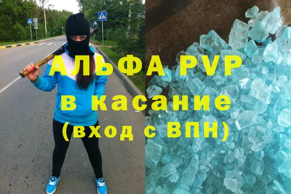 гидра Новодвинск