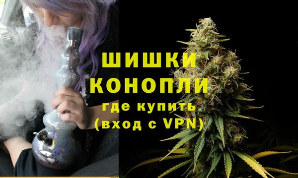 гидра Новодвинск