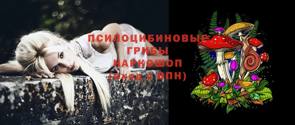 круглые Новозыбков