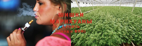 круглые Новозыбков