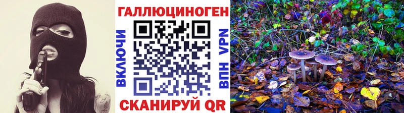 Галлюциногенные грибы Psilocybine cubensis  закладки  Шиханы 